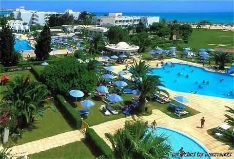 Aqi Venus Al-Hammamat